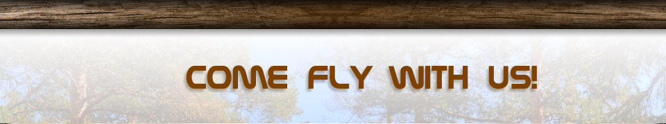 Come Fly With Us!